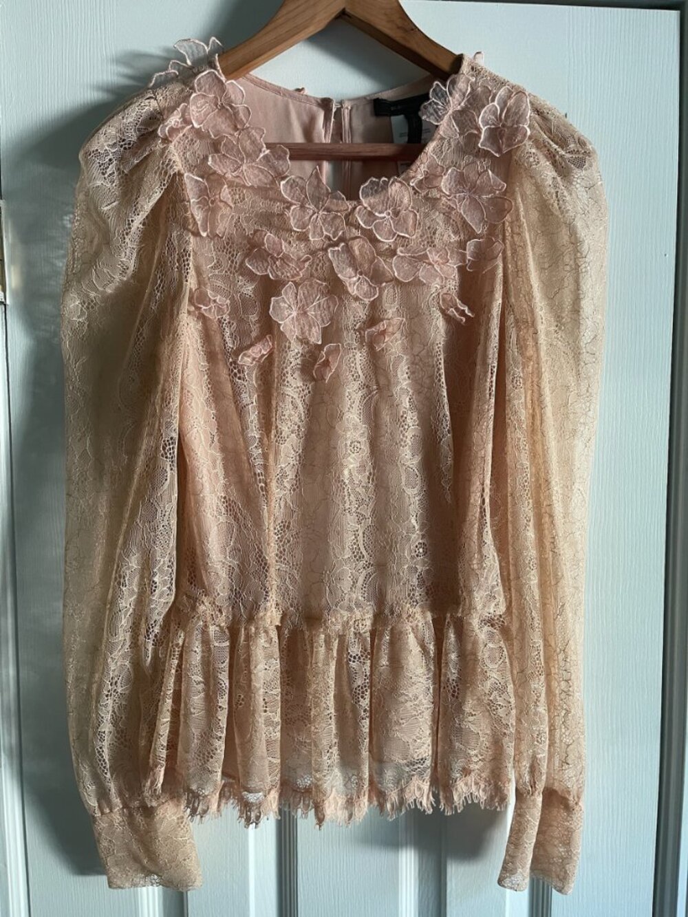 BCBGMAXAZRIA Pink Lace Peplum Blouse Long Sleeve Floral Applique Med / Size 8